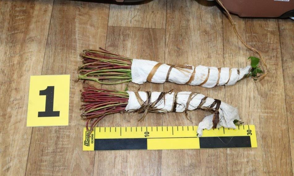 2020-2-24-724hlavní foto kata.jpg